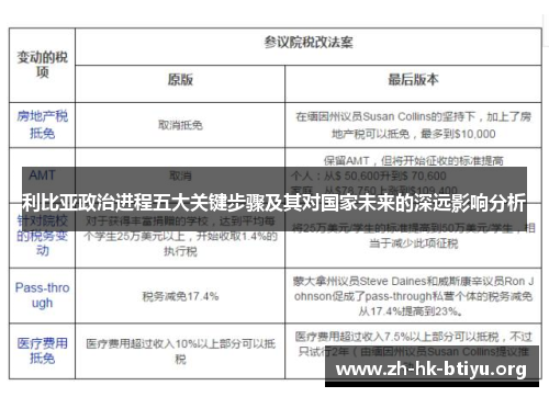 利比亚政治进程五大关键步骤及其对国家未来的深远影响分析