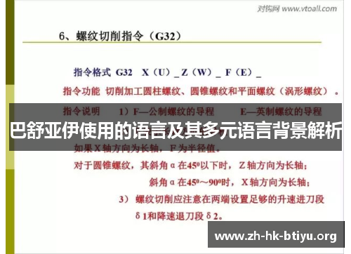 巴舒亚伊使用的语言及其多元语言背景解析