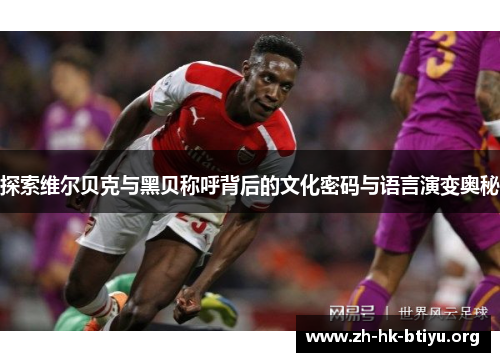 探索维尔贝克与黑贝称呼背后的文化密码与语言演变奥秘 探索维尔贝克与黑贝称呼背后的文化密码与语言演变奥秘